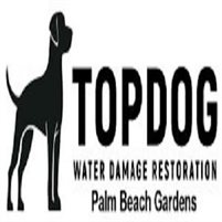  TopDog Water Damage Restoration Palm Beach Gardens