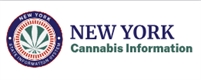 New York Marijuana Business Jan Pol